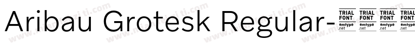 Aribau Grotesk Regular字体转换